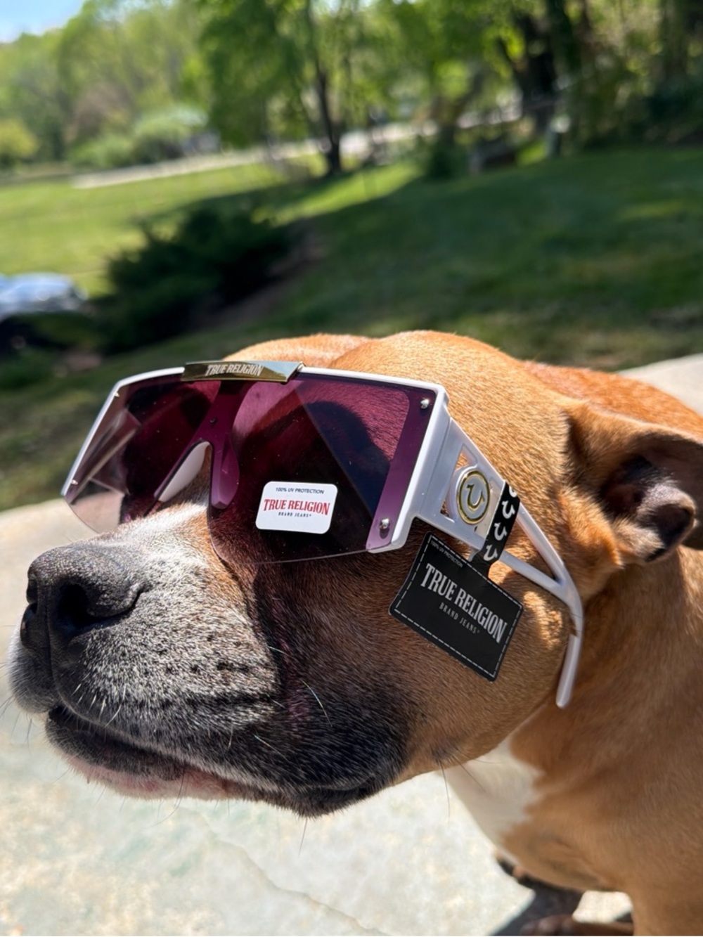NWT True Religion Sunglasses in White with Purple Lenses